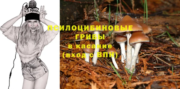 мескалин Красноперекопск