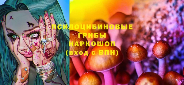 эйфоретик Краснослободск