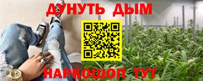 скорость Кингисепп