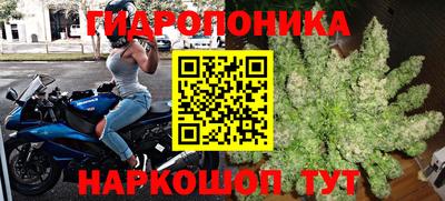 сатива Бийск