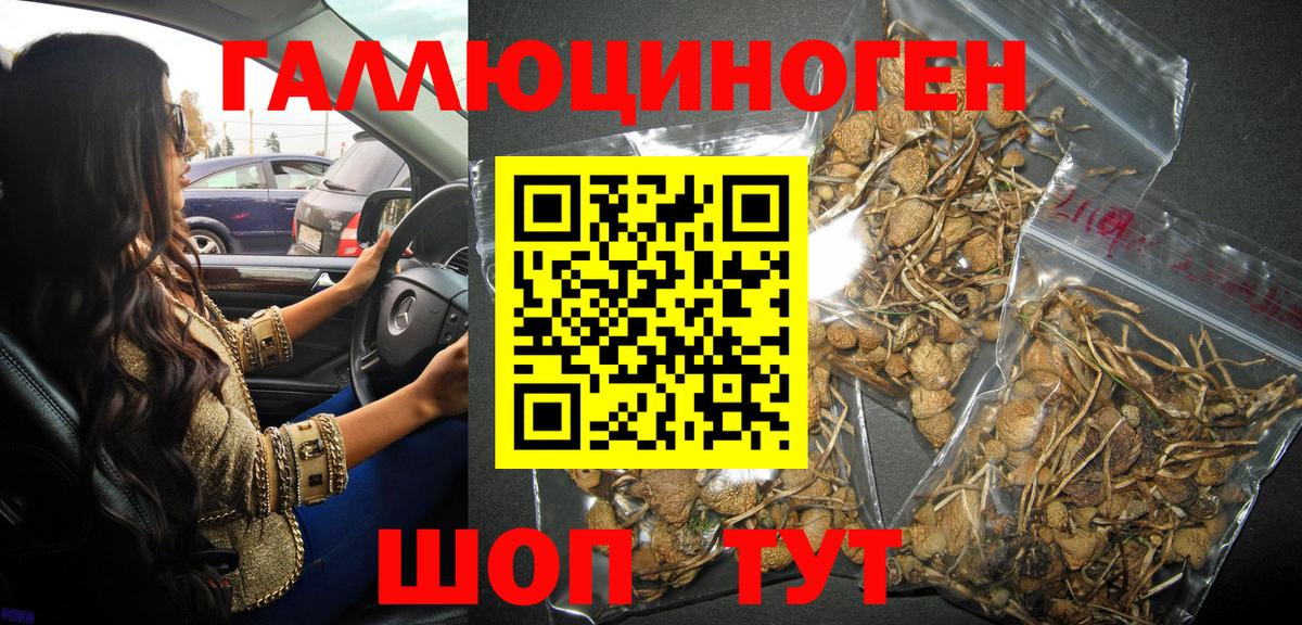 Галлюциногенные грибы мухоморы  Вход с VPN  Галлюциногенные грибы Psilocybine cubensis  Кропоткин 