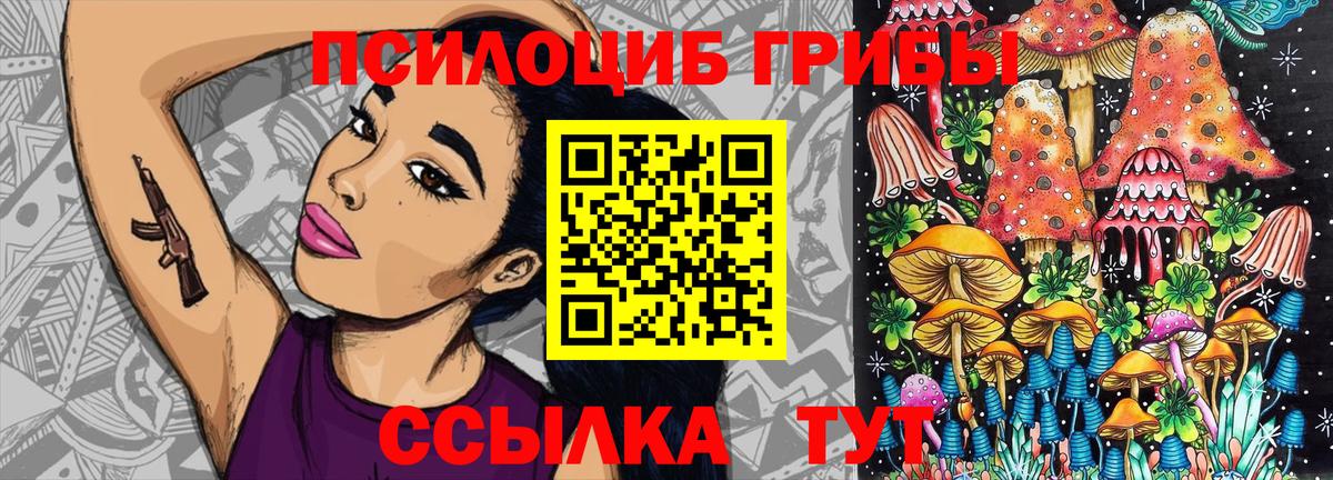 Псилоцибиновые грибы мицелий  Кропоткин 